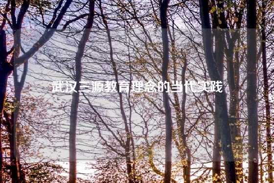 武汉三源教育理念的当代实践