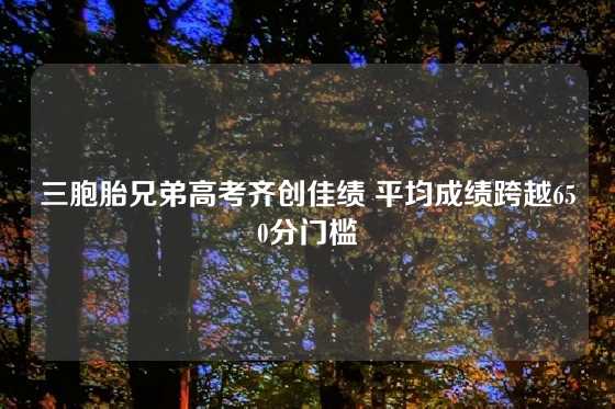 三胞胎兄弟高考齐创佳绩 平均成绩跨越650分门槛