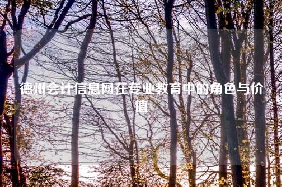 德州会计信息网在专业教育中的角色与价值