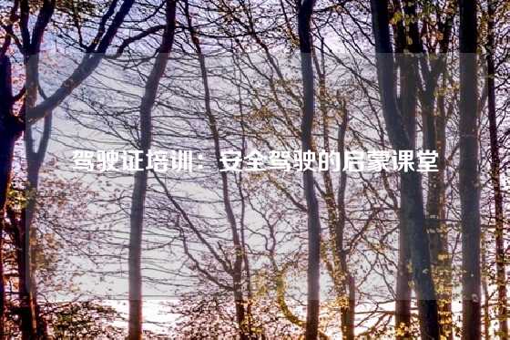 驾驶证培训：安全驾驶的启蒙课堂