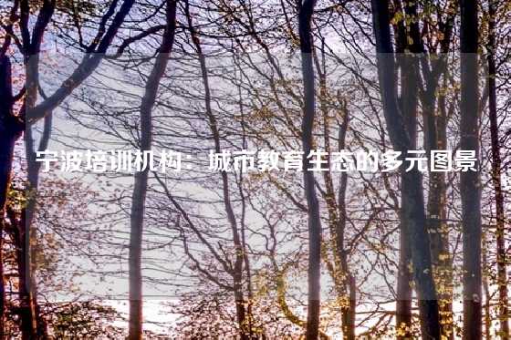 宁波培训机构:城市教育生态的多元图景