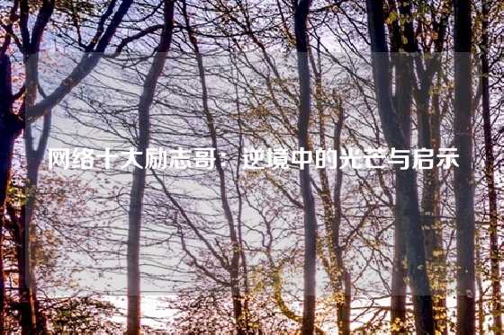 网络十大励志哥：逆境中的光芒与启示