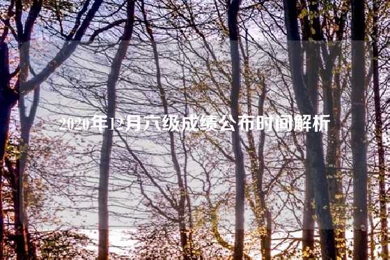2020年12月六级成绩公布时间解析
