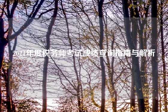 2021年度税务师考试成绩查询指南与解析