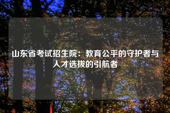山东省考试招生院：教育公平的守护者与人才选拔的引航者